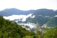 Los Yungas is the largest producer of coca in Bolivia.